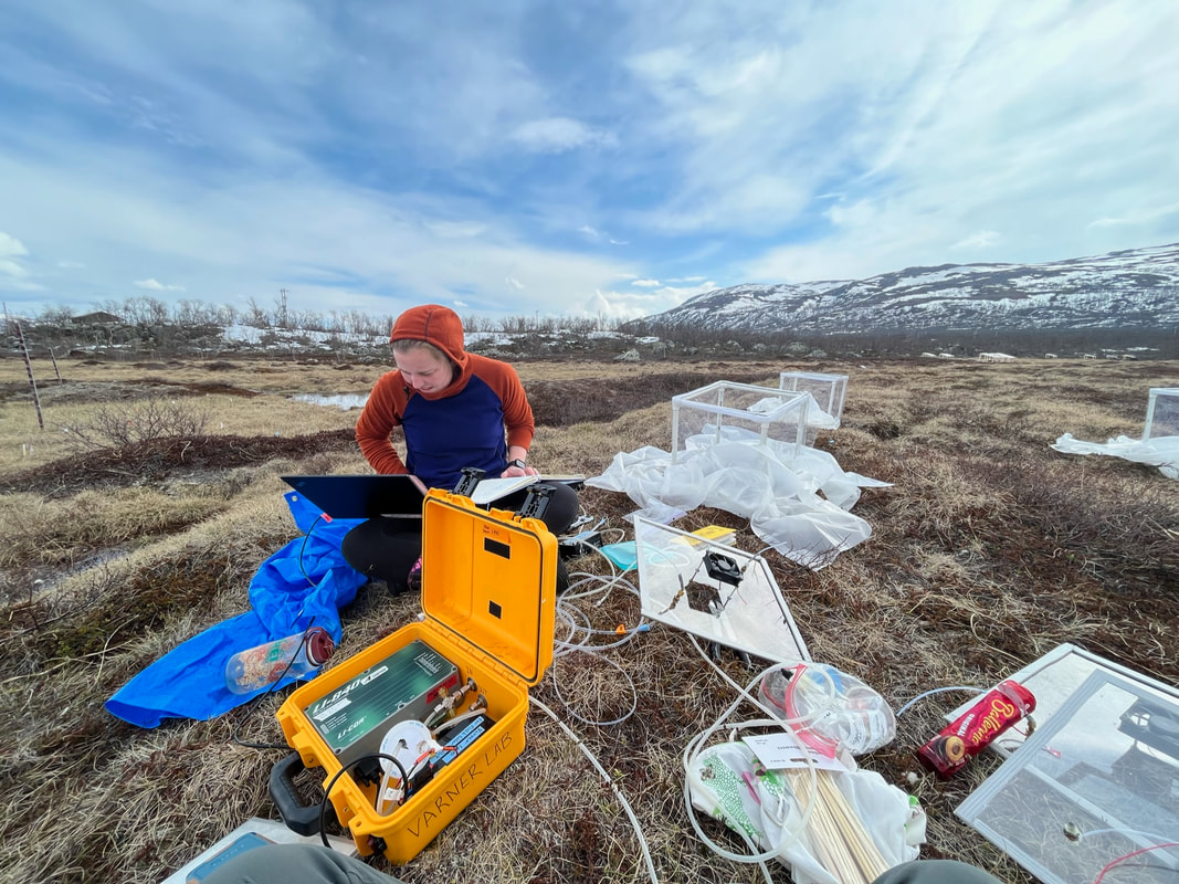 Cheristy measuring CH4 and CO2 fluxes in Stordalen Mire with a Licor