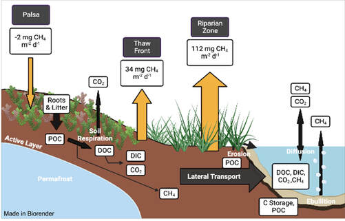 Conceptual diagram of major flux pathway in thawing permafrost peatland and measured CH4 emissions from 2022